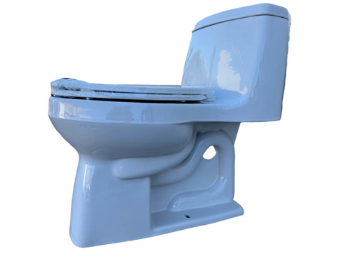 Kohler Santa Rosa 1-piece toilet